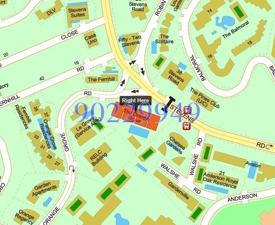 The Orange Grove (D10), Condominium #125325822